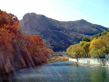 新澳天天开奖资料大全旅游团，普拉多配件